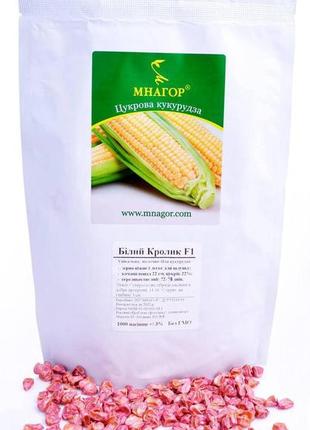 Семена сахарной кукурузы белый кролик f1, sh2-тип, молочно-белое зерно, 1000 на 1,5 сотки