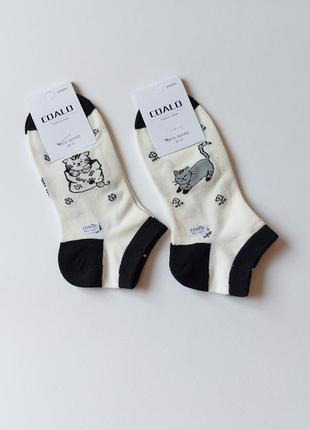 Набор женские короткие носки с котиками 5 пар4 фото