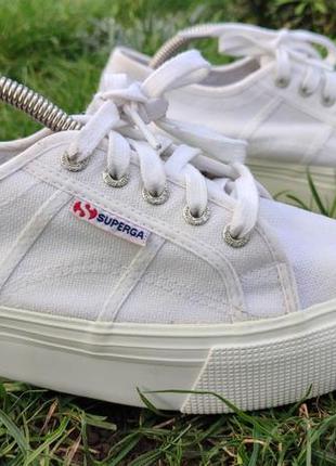 Кеди superga3 фото