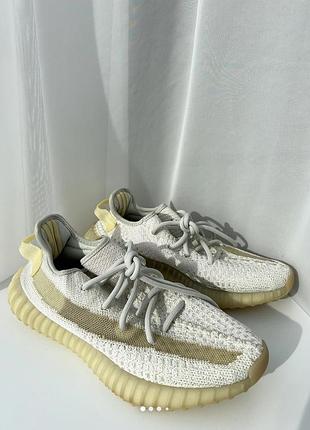 Yeezy 3501 фото