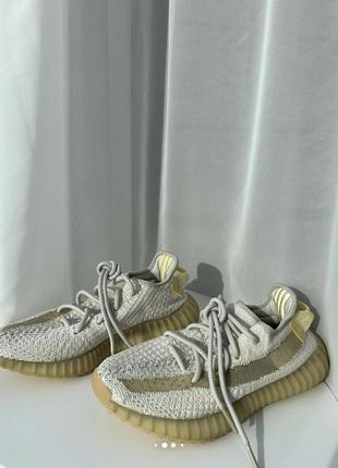 Yeezy 3502 фото