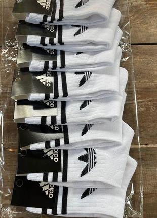 Чоловічі шкарпетки високі білого кольору adidas 4 пари