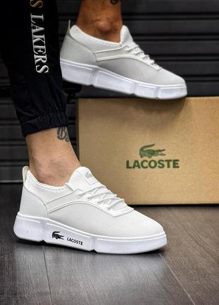Чоловічі кросівки lacoste білі (лакоста)