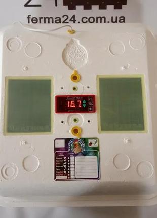 Інкубатор автоматичний рябочка turbo 42 з вентилятором