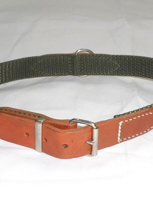 Нашийник для собаки