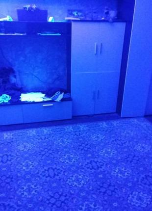 Ультрафиолетовый прожектор 95-400 нм 220 в/50 вт. ультрафиолетовая лампа