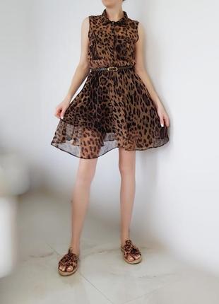 Трендове плаття з леопардовим принтом6 фото