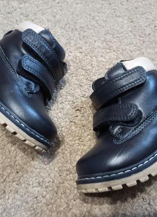 Зимові  чобітки