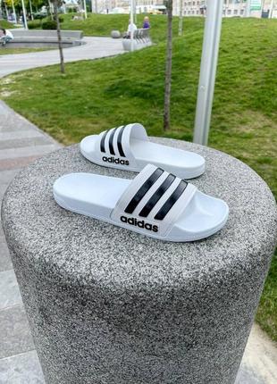 Тапки від adidas   6731-57 фото