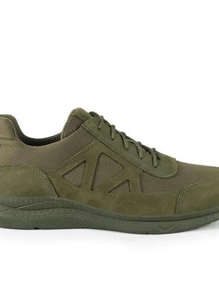 Тактичні кросівки олива   7461