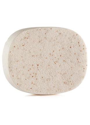 Відлущуюча губка для душу зі шкаралупою волоського горіха