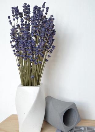 Букет сухоцветов лаванда в вазе из бетона "infiniti"1 фото