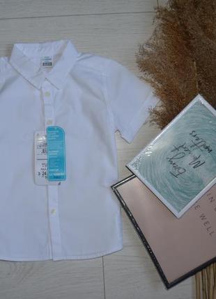 18-24/24-36 м белая натуральная хлопковая рубашка тенниска regular fit lc waikiki вайкики4 фото
