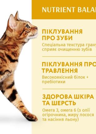 Optimeal сухий корм для дорослих кішок зі смаком курки 4,2 кг. набір9 фото