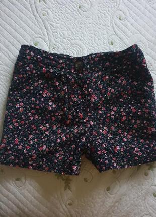 Стильные шорты микровельвет на осень