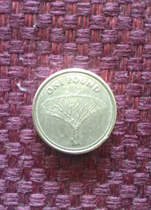 1 фунт гібралтар 20152 фото