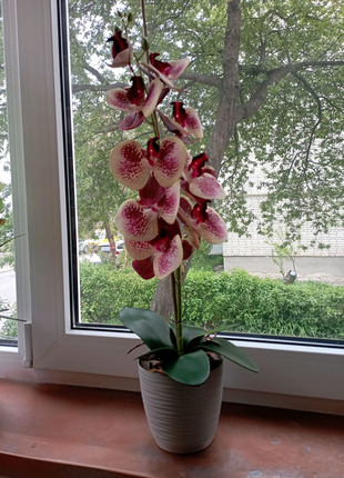 Орхідеї з латексу