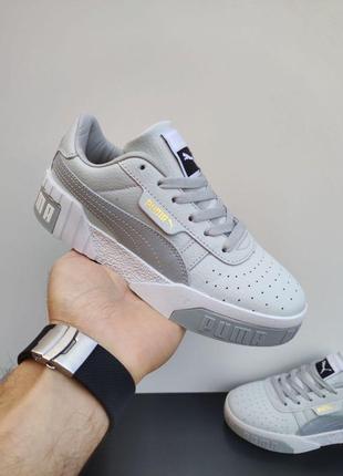 Puma cali l.gray