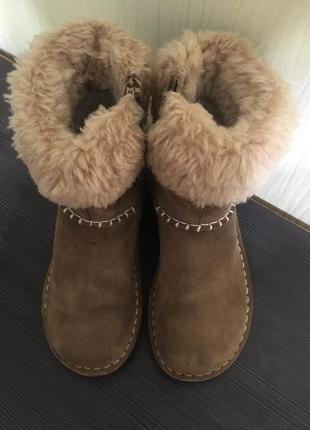 Сапожки ботинки угги clarks ugg 29 р3 фото