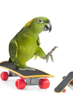 Скейт іграшка для папуг "bingo" green