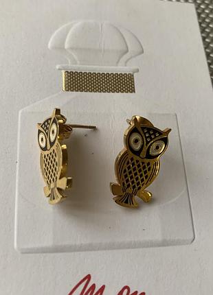 Серьги сова медицинская сталь