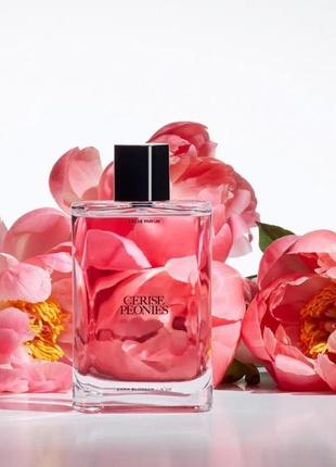 Zara cerise peonies edp 90ml