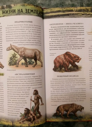 Книга атлас животных, авторы а.ф. цеханская, д.г. стрелков.