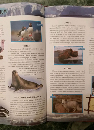 Книга атлас животных, авторы а.ф. цеханская, д.г. стрелков.