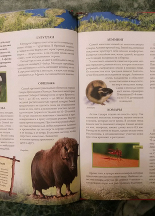 Книга атлас животных, авторы а.ф. цеханская, д.г. стрелков.