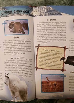 Книга атлас животных, авторы а.ф. цеханская, д.г. стрелков.