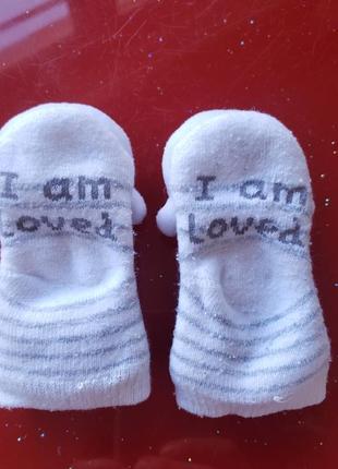 Шкарпетки дитячі з брязкальцями ведмедика новонародженому хлопчику дівчинці 0-3-6м 56-62-68см3 фото