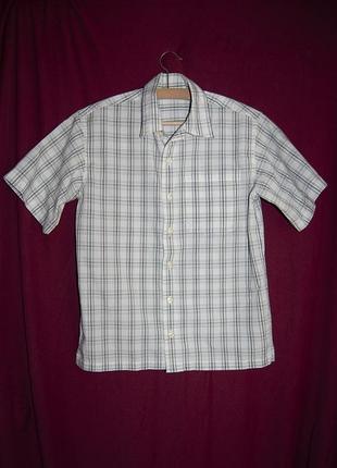 Клетчатая тенниска