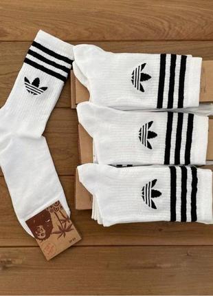 Шкарпетки adidas білі