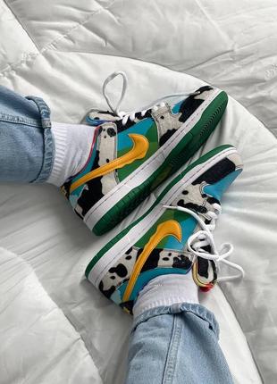 Nike sb dunk 'ben &amp; jerry's
