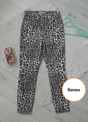 Леопардовые женские коттоновые брюки / лекордовые штаны