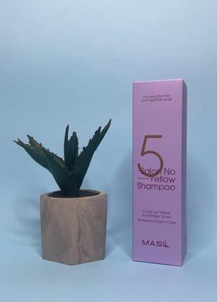 Masil 5 salon no yellow shampoo