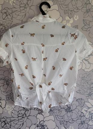 Блузка сорочка з котиками s2 фото