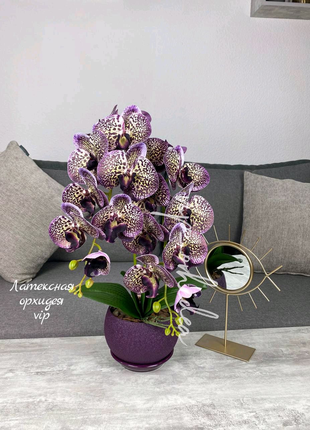 Латексні орхідеї1 фото