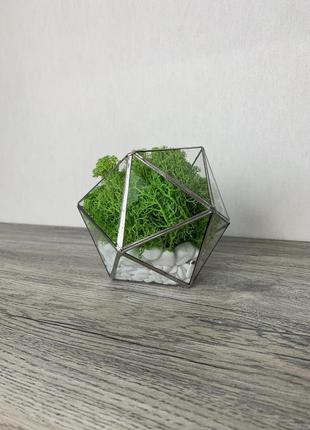 Флораріум, скандинавський мох2 фото