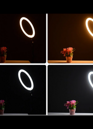 Кольцевая led лампа 16 см селфи кольцо для блогера5 фото