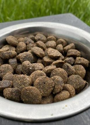 Dogster: поживний корм для собак з яловичиною - 10 кг