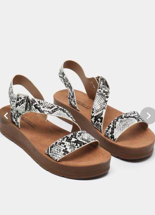 Акція💥💥💥💥жіночі босоніжки з зміїним принтом 37р
