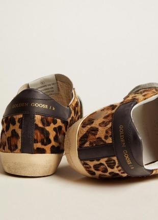 Кеди golden goose super star in leopard2 фото