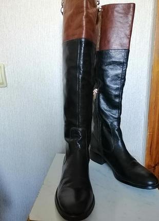 Чоботи демисезон