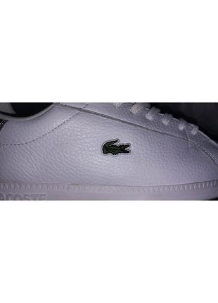 Lacoste3 фото