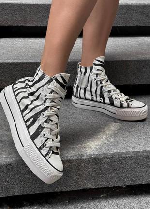 Кеди converse zebra