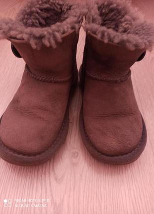 Черевики угги ugg1 фото