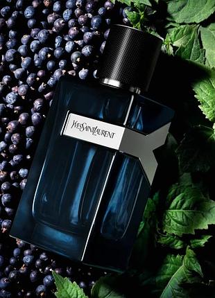 Парфуми yves saint laurent
y edp intense