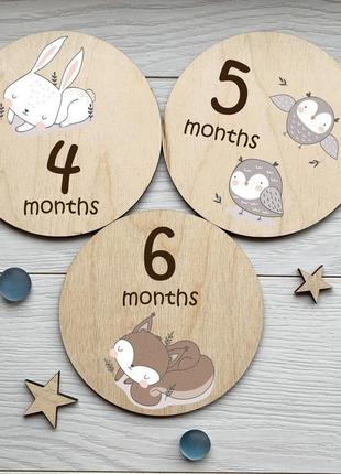 Набор деревянных карточек для детской фотосессии по месяцам 12 штук (ki-0057)2 фото