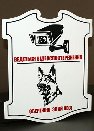 Табличка комбинированная "видеонаблюдение"+"злая собака"